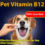 Ruimeibei Met&uuml;&uuml;lkobalamiin Lemmikloomade Baofuding Tabletid Spetsiaalne Toitumine N&auml;rvide Parandamise Ravim Koerale Neuralgiaks Vitamiin B1b12 Eriefekt For severe epilepsy and convulsion red