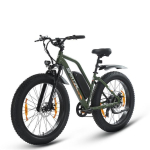 Linnaratta SPATIAL 26 *4 Roheline - Mootor 1000W - Eemaldatav liitiumaku 48V13Ah - Shimano 7 k&auml;iku - S&otilde;iduulatus 110km