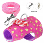 Lemmikloom V&auml;ike lemmikloom V&auml;ikeloom Orav Merisiga Hamstri rakmed Tuhkru rakmed ja jalutusrihm Lemmikrott S