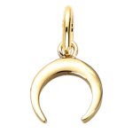 Les Tr&eacute;sors De Lily [Q7607] - Pendentif Plaqu&eacute; Or 'Luna' dor&eacute; - 10x9 mm kuld