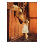 5D isetehtud teemantmaaling, hobune ja t&uuml;druk, printsess, teemanttikandid, ristpistega kodukaunistused, k&auml;sitsi valmistatud kingitused Round 20x30cm