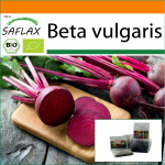 SAFLAX - Aed kotis - Mahe - Peet - Detroit Globe - 100 seemet - Substraadiga sobivas p&uuml;stises kotis - Beta vulgaris