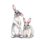 Armas j&auml;nesloomade seinakleebis, lastetoa kleebis, seinamaaling lasteaed Rabbit