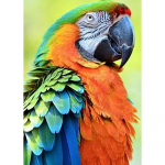 DIY Papagoi 5D Teemantmaal T&auml;is&uuml;mmargune puurlind Teemanttikandid Ristpistes Mosaiigikomplektid Seinakunst K&auml;sitsi valmistatud kingitus Full Round 60x90CM