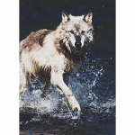 Isetegija hunt 5d teemantmaal, t&auml;isring puur j&otilde;ulukink kodukaunistus teemanttikandid ristpistes k&auml;sit&ouml;&ouml; kunstikomplektid Full Round 20x30CM