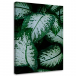 L&otilde;uenditr&uuml;kk Green Leaves Nature Plant 40x60 roheline