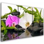 Kolmeosalise pildiga l&otilde;uendiprint Zen Flowers Bamboo Stone 60x40 mitmev&auml;rviline