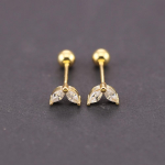 2 TK roostevabast terasest s&uuml;dameristiga v&auml;ikesed k&otilde;rvar&otilde;ngad naistele V&auml;ike Kuut&auml;ht Helix Studs Tragus k&otilde;hre augustamine ehted