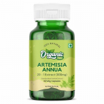 Orgaaniline Zing artemisiini kapslid - 60 kapslit, 500 mg, Gluteenivaba ekstrakt immuuns&uuml;steemi toetamiseks ja terviklikuks heaoluks Artemisia Annua'st