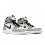 Air Jordan 1 Retro High OG White Cement DZ5485-052 EU 40.5 hall/must