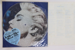 LP plaat MADONNA True Blue P15004 SIRE 1987 Jaapan Pop Kasutatud