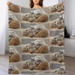 Surikaadi kallistused Tekk Suvine jahe hingav tekk magamiseks 75x100cm (30x40inch) gray