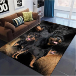 Koerte Vaip Elutoa Magamistoa Kodu Diivani Kaunistuseks, Laste m&auml;ngimiseks Libisemiskindel P&otilde;randamatt 70x100cm( 27x39in ) gray