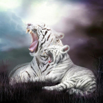 5D DIY teemantmaal  White Tiger Roar  Teemanttikandid Ristpistes Kodukaunistus 20X30CM