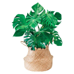 Les Tr&eacute;sors De Lily [R1830] - kleebiste leht  Monsteras  roheline - 50x70 cm roheline