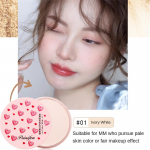 Concealer Setting Powder Oil Control veekindel higikindel matt matt loomulik p&uuml;siv meigipuuder