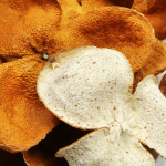 2021 XinHui Chen Pi MuZhou tootmispiirkond T&auml;ispunane kuivatatud mandariinikoore tee 50g 500g/1.1lb