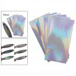 Holograafiline kalap&uuml;&uuml;gi peibutiskleebis, 6 tk kalasoomuste teip, meisterdused, isetegemise v&auml;lklambi metallile