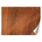 Tapeet Panteri leopardi karusnaha t&auml;ppide muster 100x70 oranž