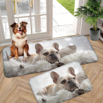 1 tk V&auml;simusvastased k&ouml;&ouml;givaibad, armsad koeraprinterid, veekindlad, libisemiskindlad, paksud polsterdatud k&ouml;&ouml;gimatid, vastupidavad ja mugavad k&ouml;&ouml;gimatid 40*60cm