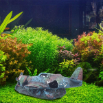 V&otilde;itleja akvaariumi kaunistus vaik k&auml;sit&ouml;&ouml;, vrakid, peidus kalakrevettide koobas Akvaariumi haljastus