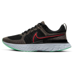 Nike React Infinity Run Flyknit 2 Ridgerock Meeste Tossud Pruun Must Roheline-Glow CT2357-200 40.5 gray