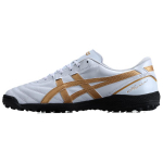 Asics C3 Mugav Mitmek&uuml;lgne TF (Kummist naastud) Jalgpallijalatsid Mehed Jalgpallijalatsid Platinum 1113A056-100 44