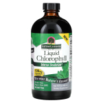 Nature's Answer, Vedel klorof&uuml;ll, 100 mg, 16 vedel untsi (480 ml)