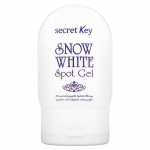 Secret Key, Lumivalgeke Laigugeel, 65 g (2,29 untsi)