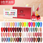 AS Geellaki Startkomplekt Salongile, Leotus-UV Geelk&uuml;&uuml;nelaki Komplekt, J&auml;&auml;l&auml;bipaistev Nude, S&auml;delev Kassipilk, Holograafilised V&auml;rvid, 12 V&auml;rvi/6 Pudelit As ice brown-abc complete set [new packaging]