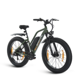 SPATIAL Elektrijalgratas 26 *4 Roheline - Mootor 1000W - Aku 48V 13Ah - S&otilde;iduulatus 110km - Linnamaastur E-Bike - Shimano 7 K&auml;iku