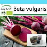 SAFLAX &ndash; kinkekomplekt &ndash; Orgaaniline &ndash; Peet &ndash; Detroit Globe &ndash; 100 seemet &ndash; Kinkekarbi, kaardi, etiketi ja potisubstraadiga &ndash; Beta vulgaris