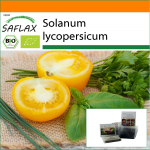 SAFLAX - Aed kotis - Orgaaniline - Tomat - Golden Queen - 15 seemet - Substraadiga sobivas p&uuml;stijas kotis - Solanum lycopersicum