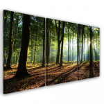 Kolmeosalise pildil&otilde;uendi print Forest Green Nature 60x40 roheline