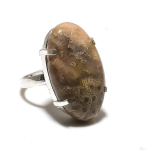 Natural Fossil Coral Gemstone Handmade 925 Sterling Silver Ring Size 9 d3i28