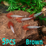 5 tk / kasti kiiresti vajuv Mylor Flash Tube Streamer Fly Kerge, suur maht, 5 v&auml;rvi Saadaval Forell Bass Haugi P&uuml;&uuml;gis&ouml;&ouml;t