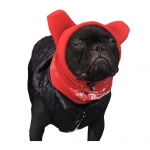 Koera talvem&uuml;ts fliisist soe koera peakate K&otilde;rvakate Reguleeritav koera kapuuts M punane