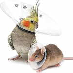 Collier pour Rongeurs - KVP - L&eacute;ger et Rembourr&eacute; - Poly&eacute;thyl&egrave;ne - Acier Inoxydable - Noir