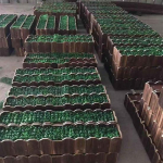 Kunstbambusest vahesein kr&uuml;pteeritud plastikuga siseruumide p&otilde;randakaunistuseks