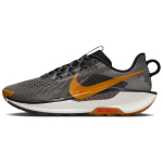 Nike Pegasus Trail 5 Must K&otilde;rb Ooker Meeste Tossud Kuusehall DV3864-009 40.5 black