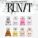 Eeltellimus Stray Kids RUN IT SEOUL SKZOO Secret Keerutatav pehme m&auml;nguasi Random 1ea