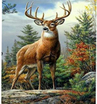 Diamond Painting Landscape Teemanttikandi komplekt Ristpistete komplekt Teemantmaali t&auml;ispuurkomplektid Rhinestone 15*20cm