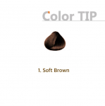 Richenna Easy Speedy Vita kapsel juuksev&auml;rv [&scaron;ampoonit&uuml;&uuml;pi v&auml;rvaine] 5ea (tuub) &ndash; 2 v&auml;rvi 1. Soft Brown