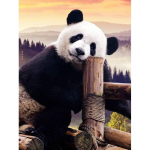 Uus 5D DIY Teemantmaaling Panda Teemanttikandid Loomade Ristpistes T&auml;isringi puur K&auml;sit&ouml;&ouml; Kodukaunistus K&auml;sitsi kingitus Full Round 15x20CM