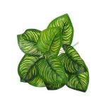 Kerged v&otilde;ltsrohelised taimed, realistlikud loomingulised kilpkonnataguse lehtedega potikaunistused A