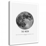 L&otilde;uendiprint Moon Cosmos Night 40x60 must/valge