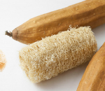 10 squashi seemet - Luffa - looduslik k&auml;sn - paljundatavad talupojaseemned - Semiwild