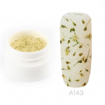 ROSALIND 5 ml Dry Flower Fairy geel-k&uuml;&uuml;nelakk DIY kuivatatud lilledega poolp&uuml;siv leotamine uue stiiliga k&uuml;&uuml;nekunsti pealispinna h&uuml;briidlakk UV-k&uuml;&uuml;negeel