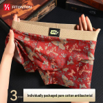 FitonTon Men's Premium Anti-Bacterial Boxer Briefs 2XL