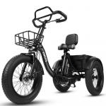 Elektrilised kaubarattad Eskute T302 Pro 250W mootor 20 paksude rehvidega t&auml;iskasvanute elektrijalgratas Tippkiirus 25 km/h Kaks ketaspidurit 48V 20,8Ah 7 k&auml;iku must